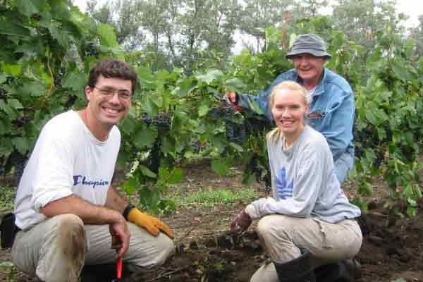 Matt, Sandi, and Ralph picking grapes in the early days of Prairie Berry Winery